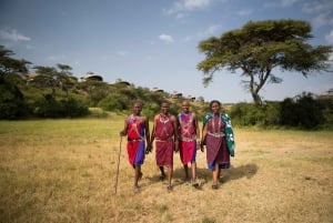 Nairobi: 4-dagars safari i norra Kenya och gömda pärlor