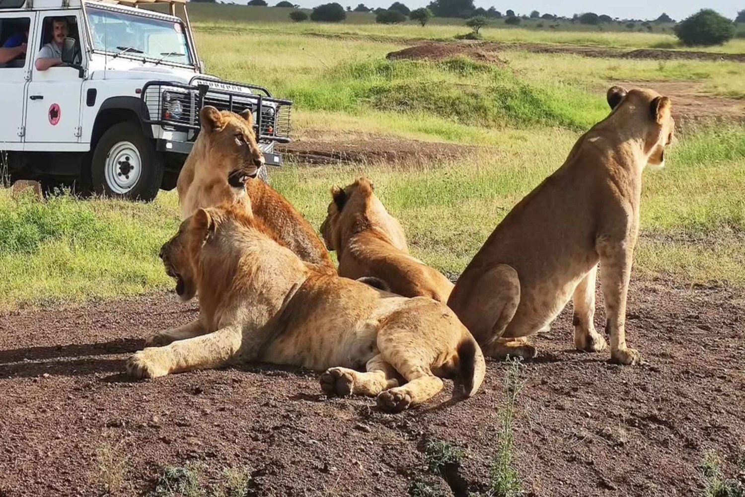 Nairobi: safari de 5 días por Masái Mara, Naivasha y Nakuru