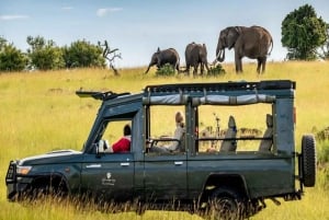 Nairobi: safari de 5 días por Masái Mara, Naivasha y Nakuru