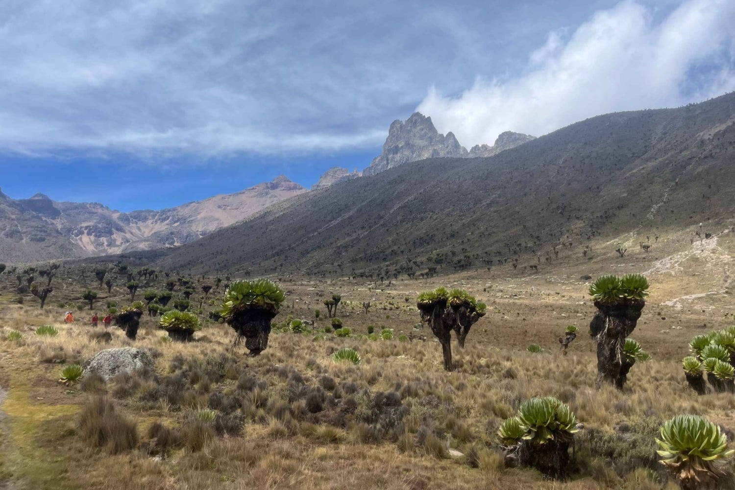 Nairobi: Trekking de 5 días por el monte Kenia con comidas y guía incluidos.