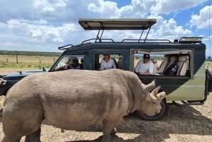 Nairobi: 5-Day Private Safari to Masai Mara & Lake Nakuru