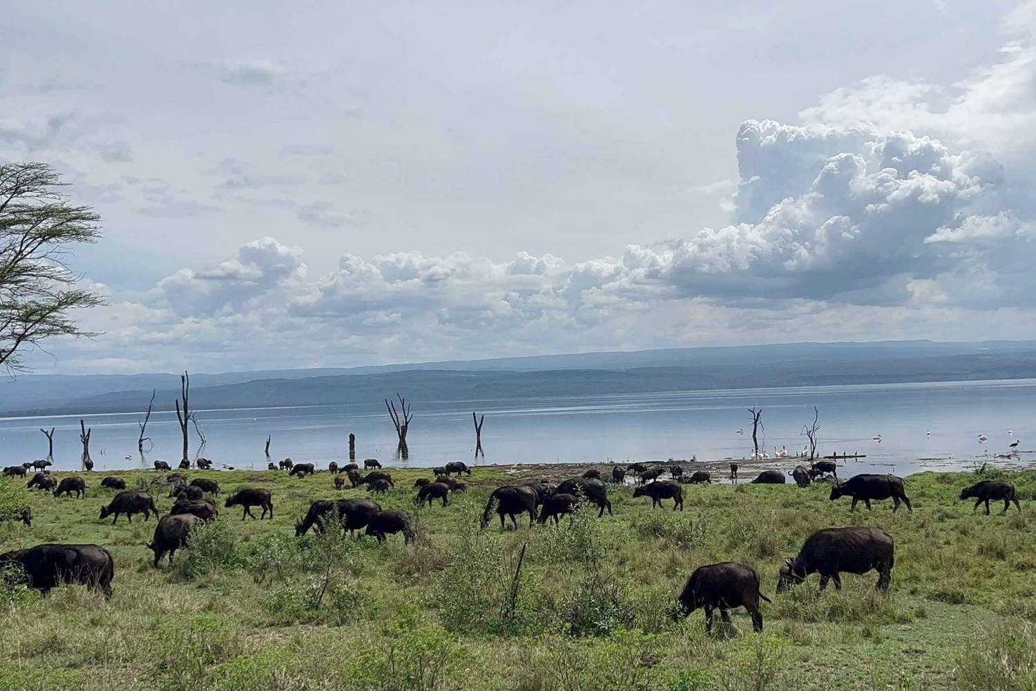 Nairobi: 5-Day Rift Valley Lakes Safari with Accommodation