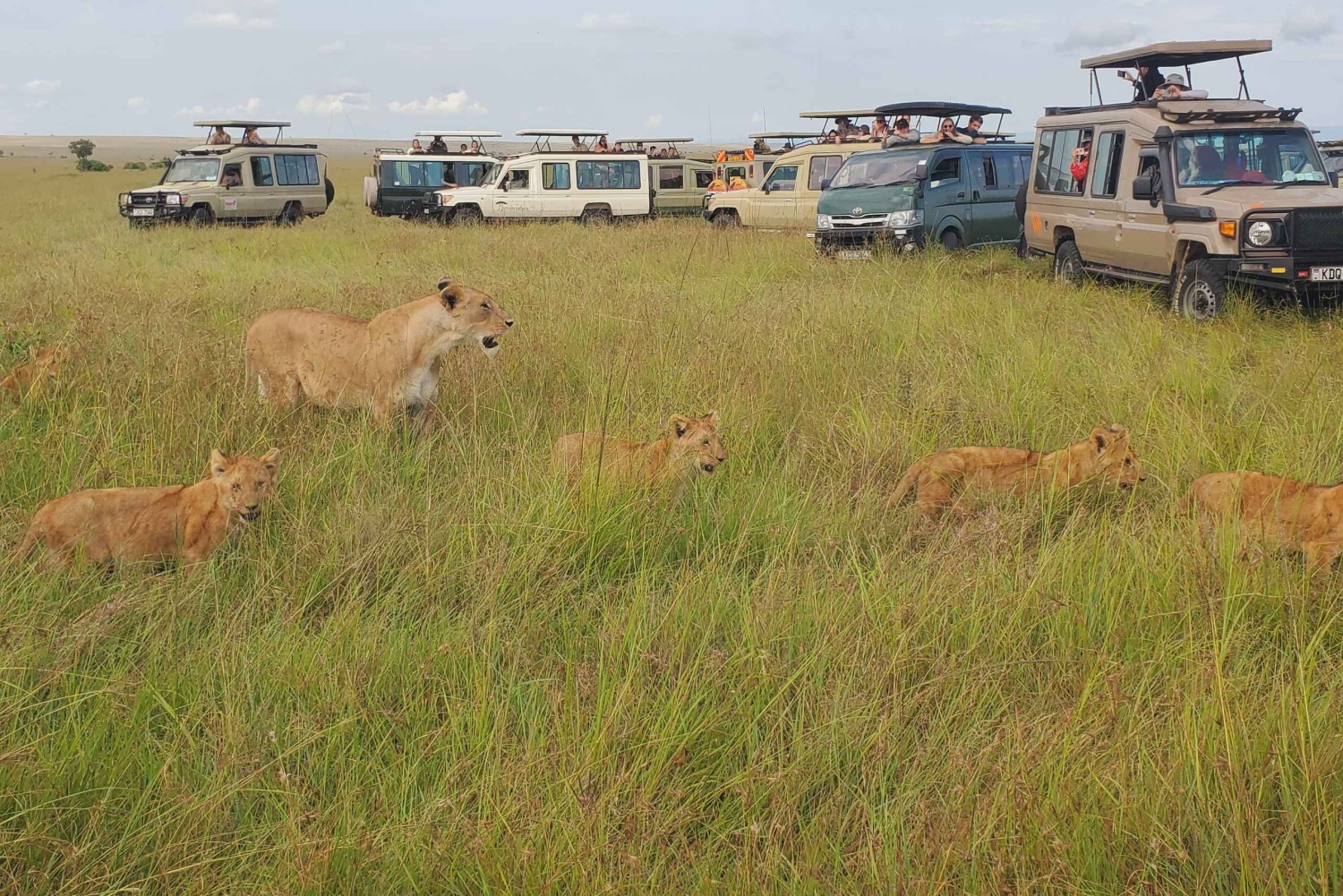 Nairobi: 5-Day Rift Valley Lakes Safari with Accommodation