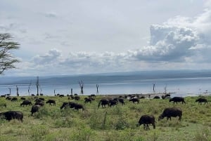 Nairobi: 5-Day Rift Valley Lakes Safari with Accommodation