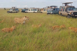 Nairobi: 5-Day Rift Valley Lakes Safari with Accommodation
