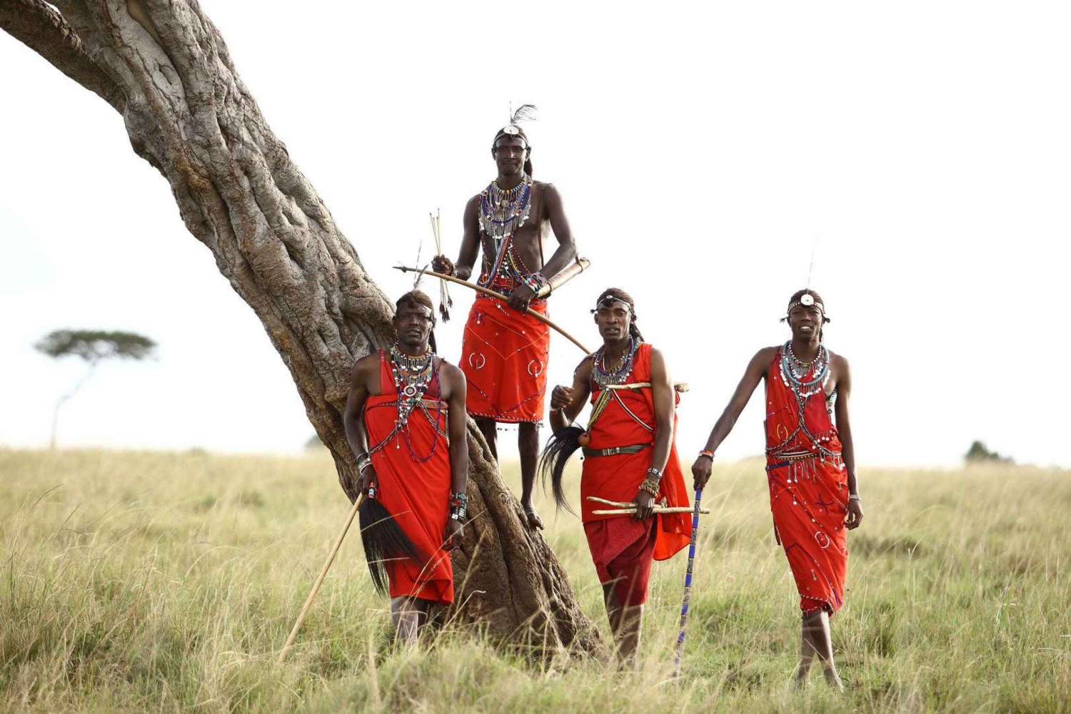 Nairobi: 6-dages safaritur til Amboseli, Nakuru og Maasai Mara