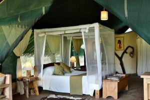 Nairobi: 6-Day Amboseli, Nakuru, and Maasai Mara Safari Tour