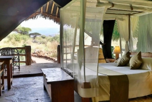 Nairobi: 6-tägige Amboseli, Nakuru, und Maasai Mara Safari Tour