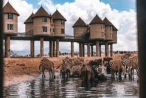 Nairobi: 6-Day Amboseli, Tsavo West & Taita Hills Safari