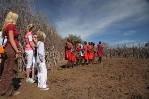 Nairobi: 6-dages Masai Mara, Nakuru og Amboseli-oplevelse