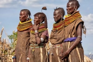 Nairobi: 7-Day Lake Turkana Safari with Tented Camps