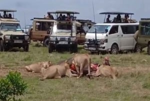 Nairobi National Park Layover Tour: Upphämtning och avlämning på flygplatsen