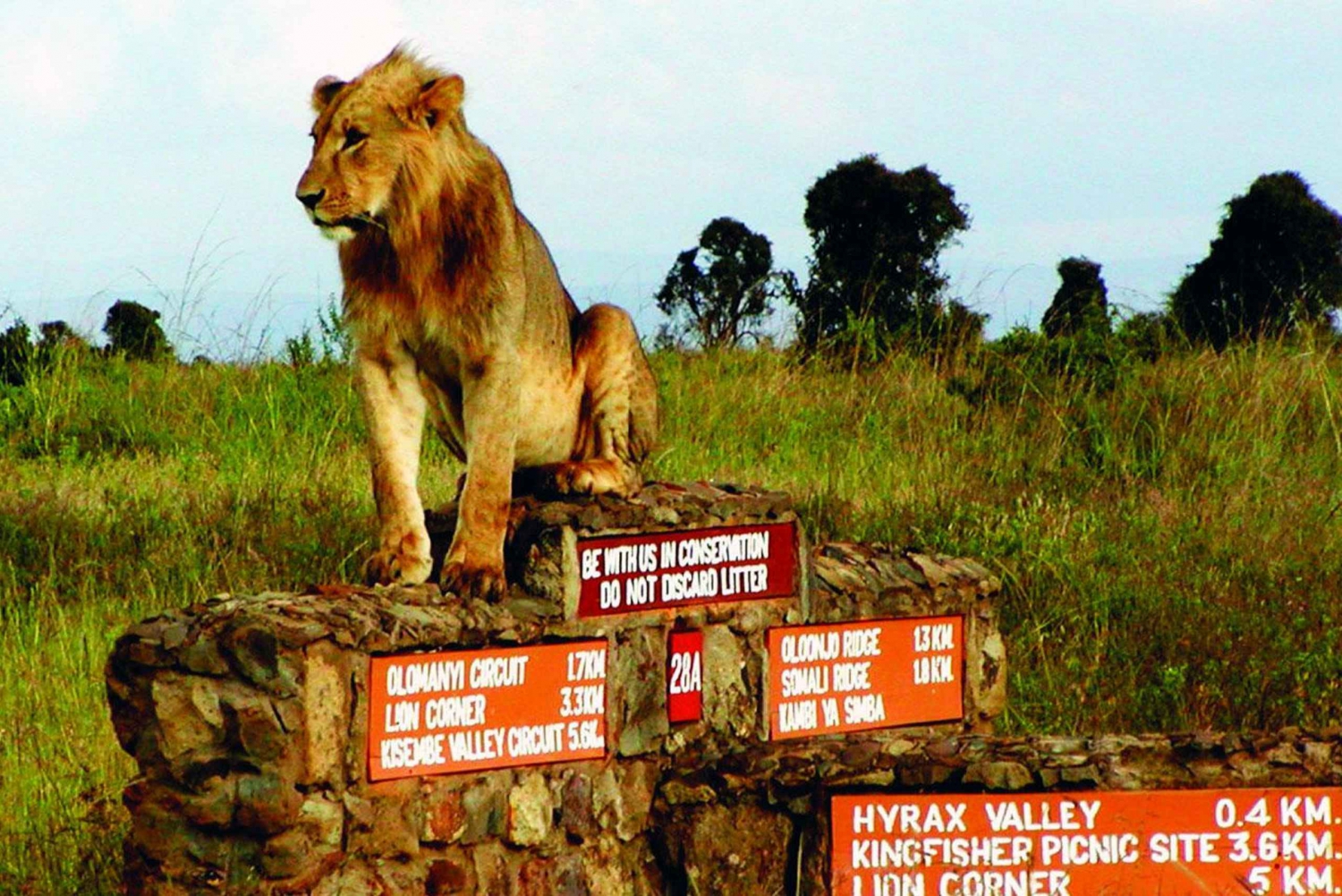 Nairobi Flughafen Layover:Tour Nairobi National Park mit Gebühren