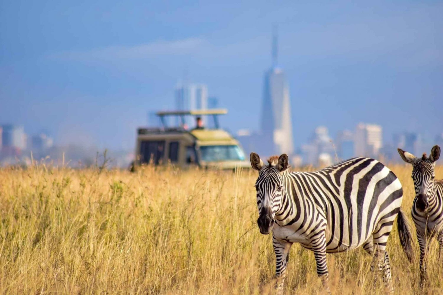 Nairobi Flughafen Zwischenstopp: Tour durch den Nairobi National Park