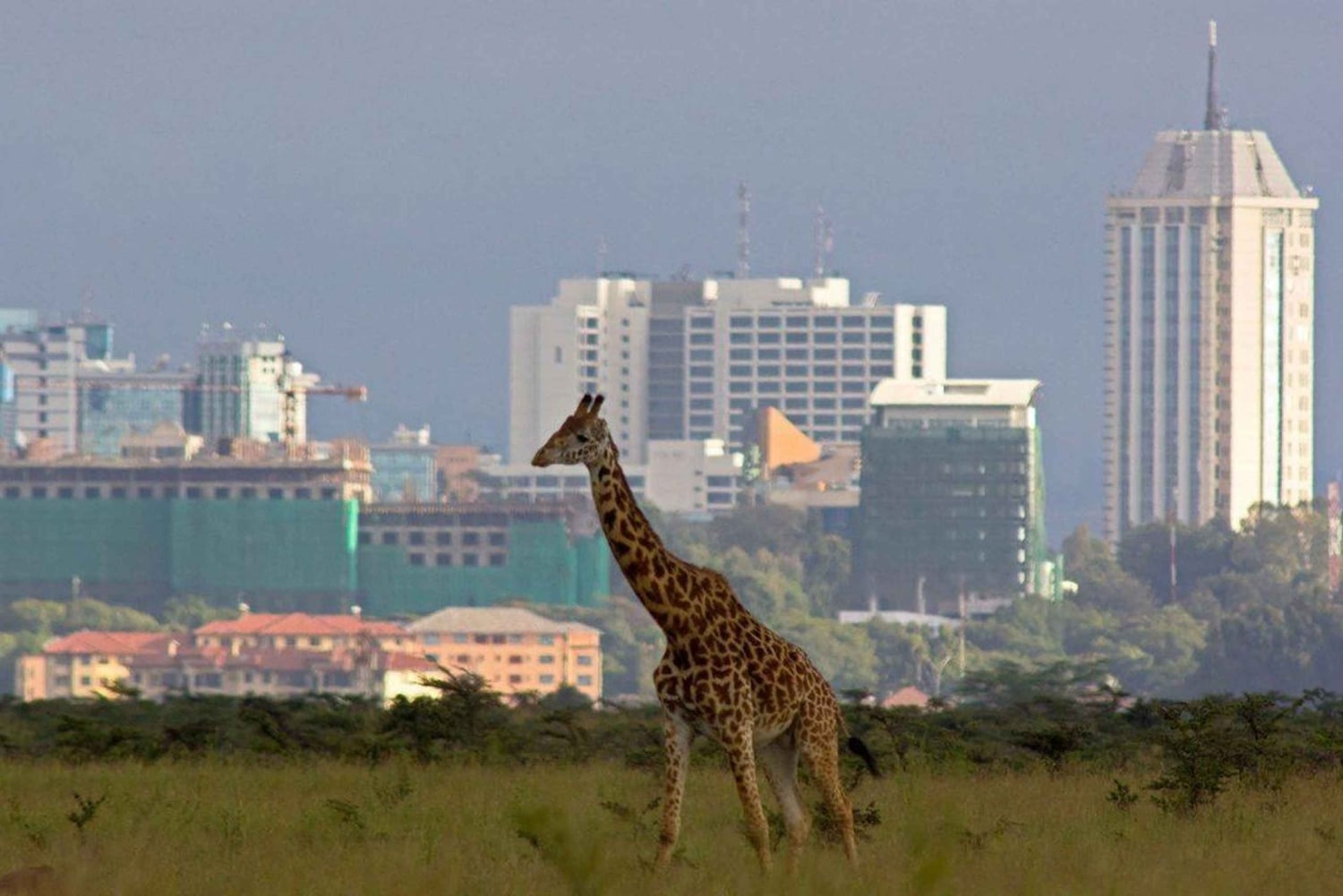 ナイロビ空港から市内への送迎