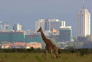 Nairobi airport to city transfer