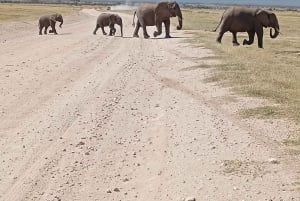 Nairobi: excursión de un día al Parque Nacional de Amboseli y a una aldea masái