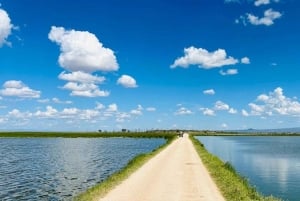 Nairobi: passeio de um dia ao Parque Nacional de Amboseli e à aldeia Maasai