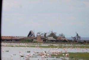 Nairobi: Dagsutflykt till Amboseli nationalpark och Maasai Village