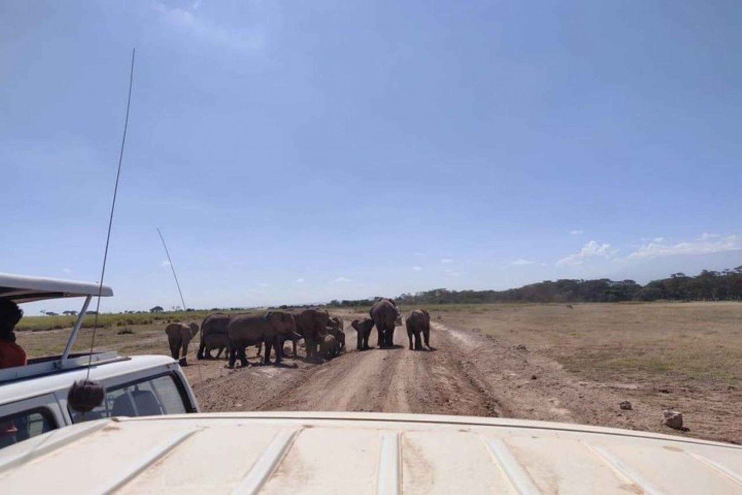 Nairobi: Dagsutflykt till Amboseli National Park