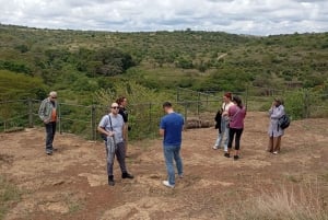 Nairobi : Excursion d'une journée dans le parc national d'Amboseli avec déjeuner