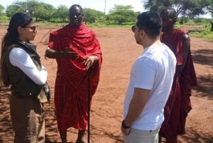 Nairobi: Amboselin kansallispuiston päiväkierros lounaalla