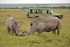Nairobi: Dagsutflykt till Amboseli National Park