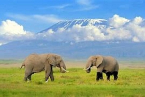 Nairobi: Amboselin kansallispuiston päiväkierros ja Maasai-kylä