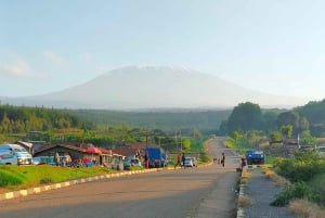 Nairobi: Amboselin kansallispuisto, yön yli kestävä safarikierros