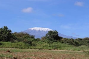 Nairobi: Amboselin kansallispuisto, yön yli kestävä safarikierros