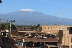 Nairobi: Amboselin kansallispuisto, yön yli kestävä safarikierros