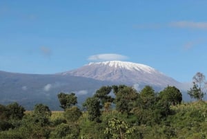 Nairobi: Amboselin kansallispuisto, yön yli kestävä safarikierros