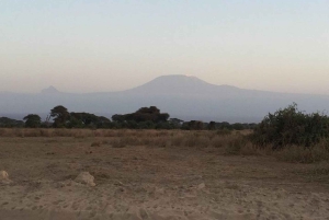 Nairobi: Amboseli National Park-safari og Maasai-landsby