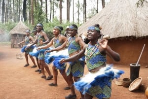 Nairobi Animal Orphanage, SafariWalk and Kenya Bomas Tour