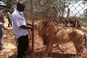 Nairobi Animal Orphanage, SafariWalk and Kenya Bomas Tour