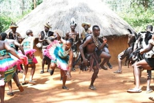 Nairobi Animal Orphanage, SafariWalk and Kenya Bomas Tour