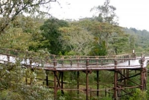 Nairobi Animal Orphanage, SafariWalk and Kenya Bomas Tour