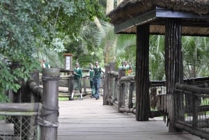 Nairobi Animal Orphanage, SafariWalk and Kenya Bomas Tour