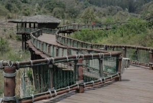 Nairobi Animal Orphanage, SafariWalk and Kenya Bomas Tour