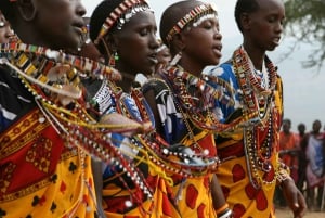 Nairobi Animal Orphanage, SafariWalk and Kenya Bomas Tour
