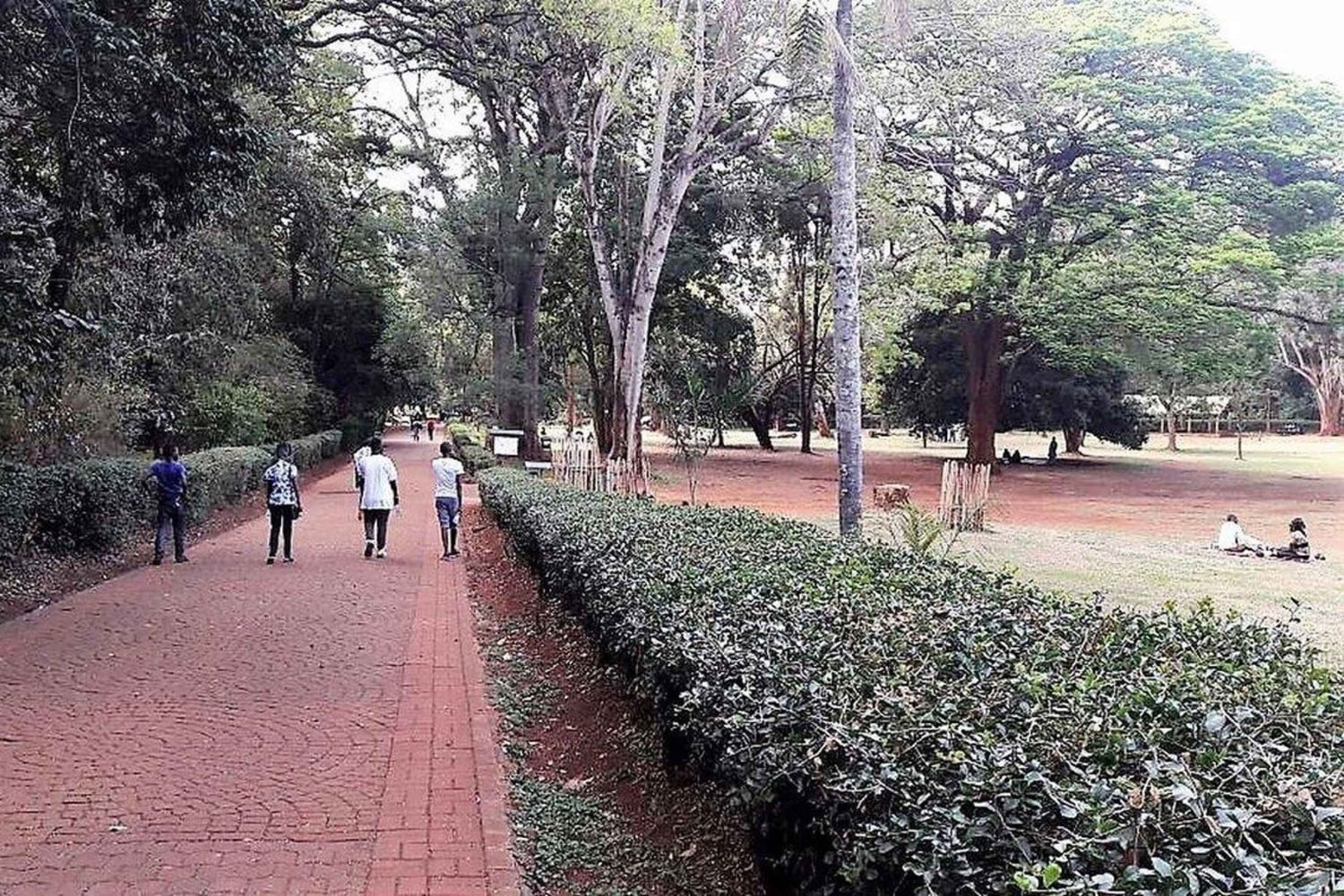 Nairobi : promenade guidée dans l'arboretum