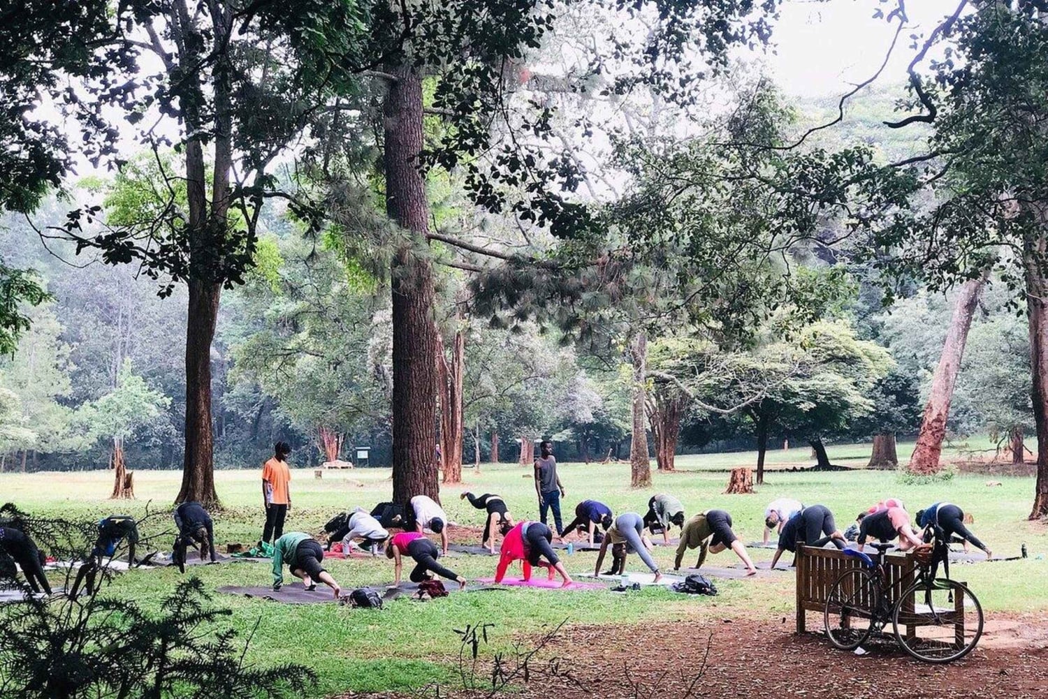 Nairobi : promenade guidée dans l'arboretum