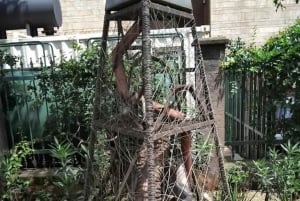 Nairobi: parque conmemorativo del 7 de agosto y tour a pie guiado por la ciudad