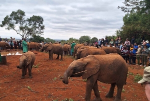 Nairobi: Baby Elephants, Giraffe Center and Bomas of Kenya