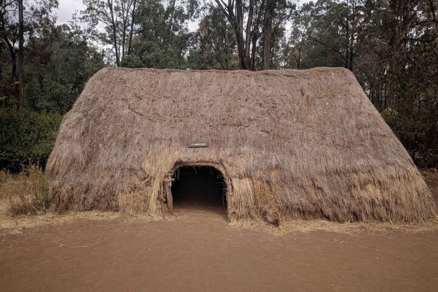 Nairobi: Eftermiddag med kulturella danser och shoppingtur
