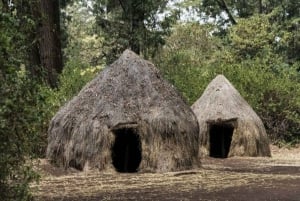 Nairobi: Eftermiddag med kulturella danser och shoppingtur