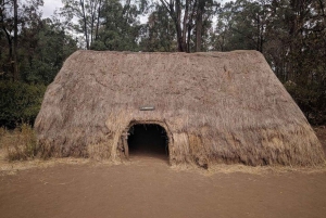 Nairobi: Eftermiddag med kulturella danser och shoppingtur