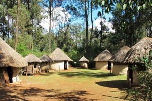 Nairobi: Eftermiddag med kulturella danser och shoppingtur