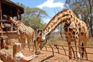 Nairobi: Breakfast with Giraffes & Artisan Village Tour