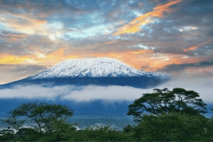 Nairobi : Transfert en bus de/à Moshi